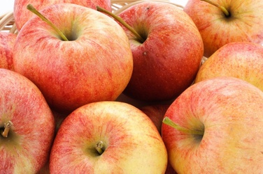 Washington Gala Apples