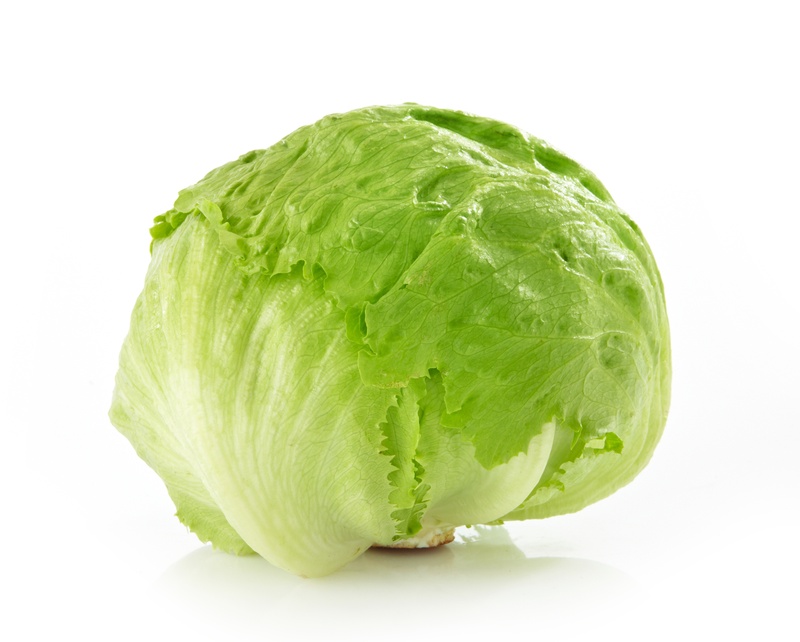 Foxy Iceberg Head Lettuce