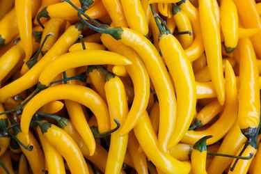 Yellow Peppers