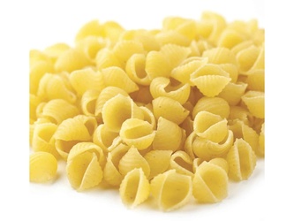 Shell Pasta