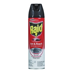Raid Fragrance Free Ant & Roach Killer 17.5 Oz. Aerosol Can