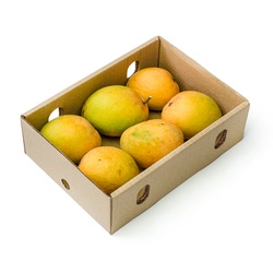 Mango'S Box 6 Piece Each 149