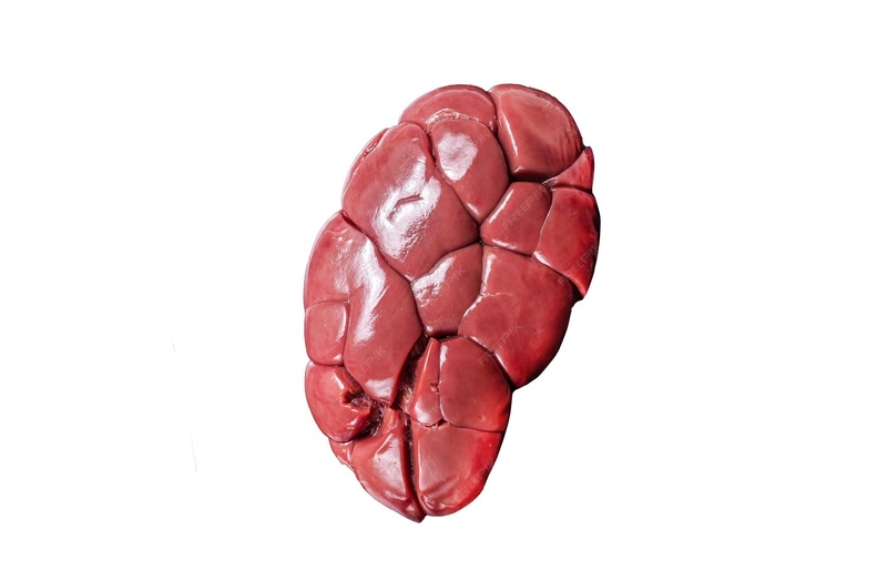 Veal Kidney
