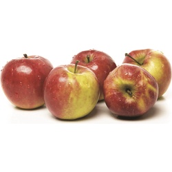 Fresh Jonagold Apples 5-lb Bag