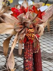 Indian Decoration Corn Each