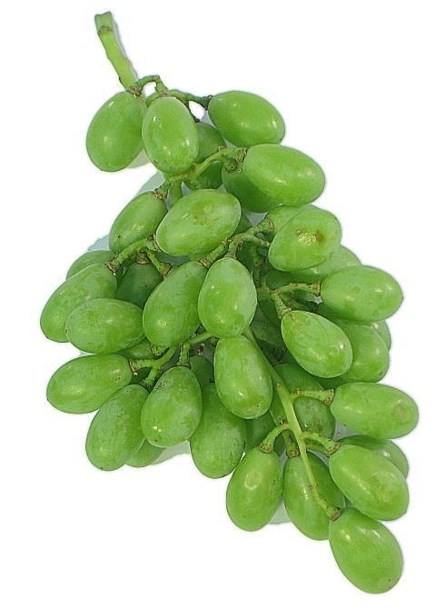 Sour Grapes