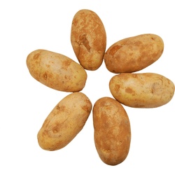 Fresh Mbj Idaho Potatoes