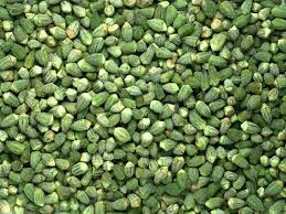 Okra Extra 400G