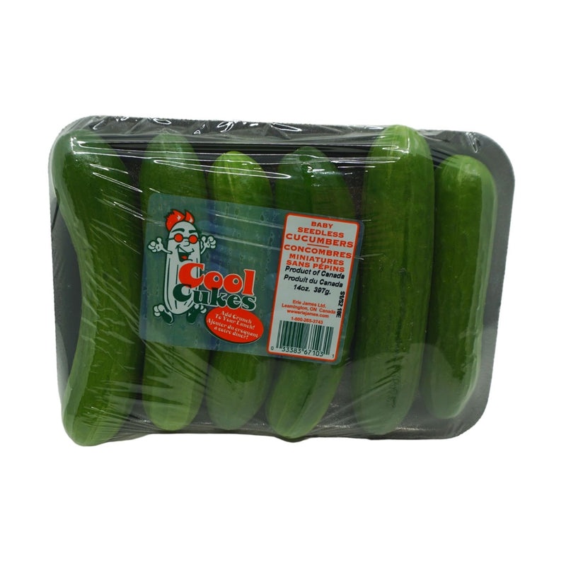 Cool Cukes Concombre Mini