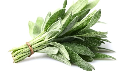 Sage