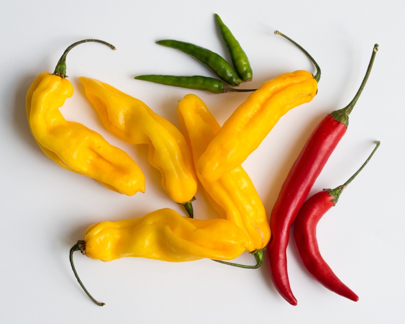 Chili P