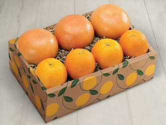 Navel Oranges Pack