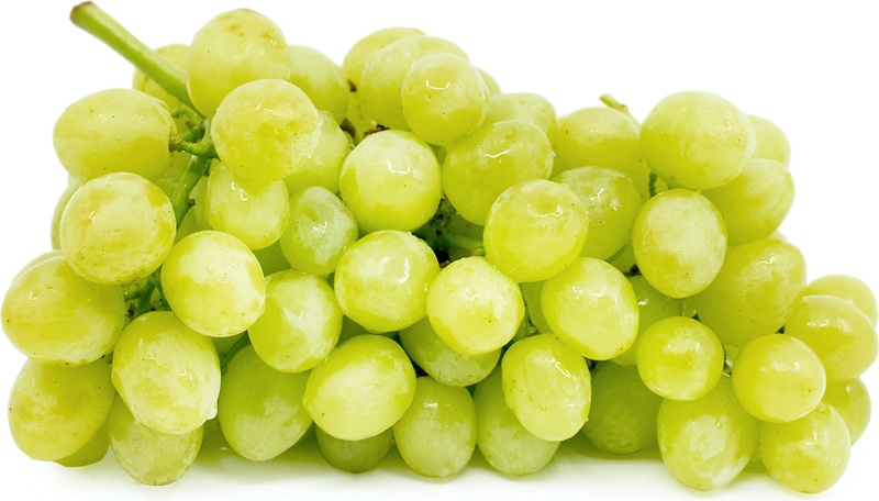 Green Seedless Grapes