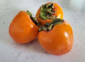 Fuyu Persimmons