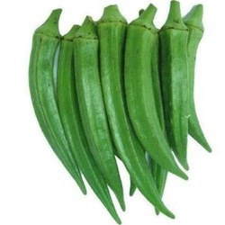 Indian Okra