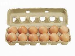 Organic Jumbo Eggs 12P