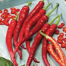 Tall Red Pepper