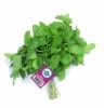 Plu-Produce Fresh Mint