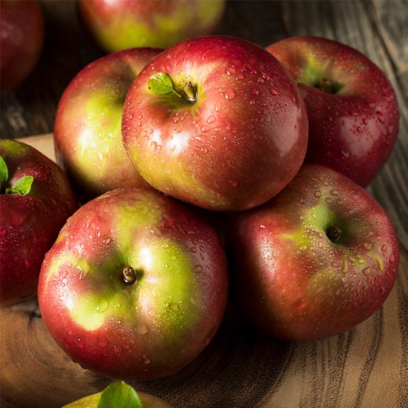 Mcintosh Apples