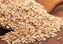 Organic Sesame 423G