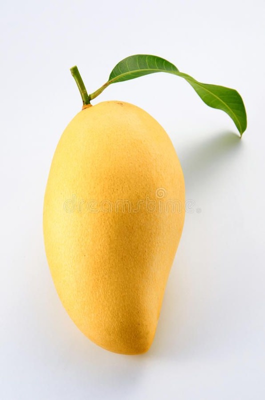 Mango 1 Piece