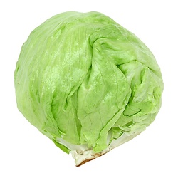Fresh Iceberg Head Lettuce