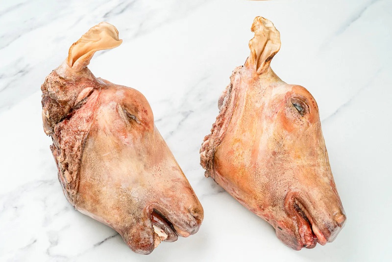 Lamb/Goat Head