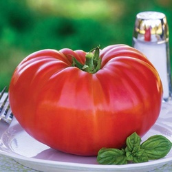 Beef Steak Tomatoes