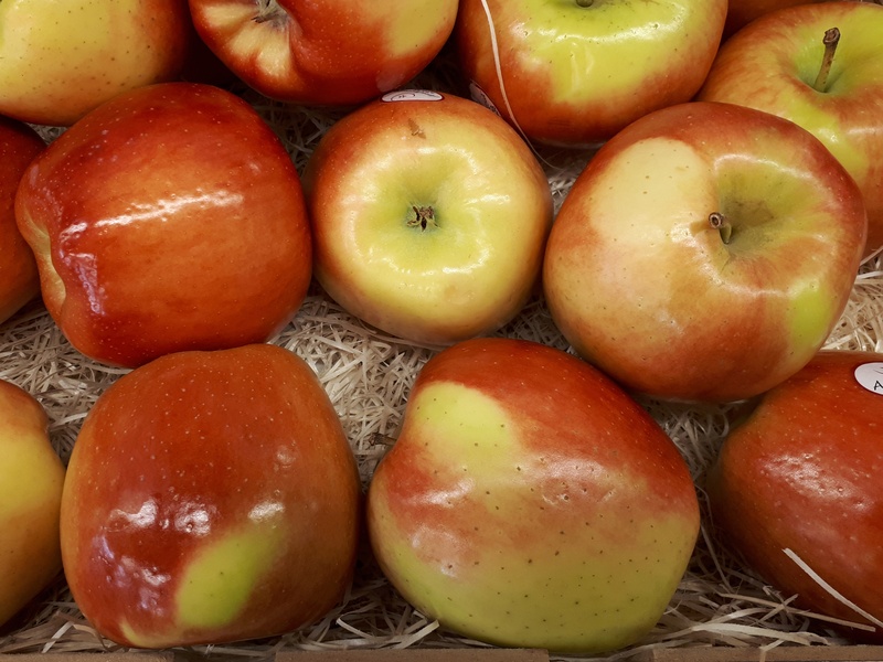 Ambrosia Gold