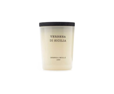 Verbena 70G