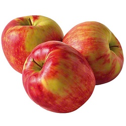Honey Crisp Apples