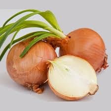 Spanish Onion