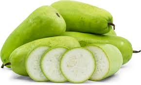 Long Indian Opo Squash