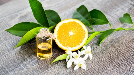 Orange Blossom