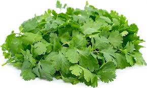 Cilantro Each