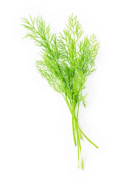 L Pic Dill