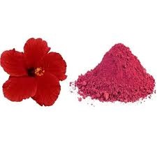 Hibiscus