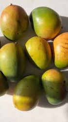 Keitt Organic Mango 7 Piece