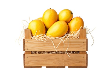 Yellow Mangoes Box