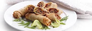 Chicken Kabob Spring Roll