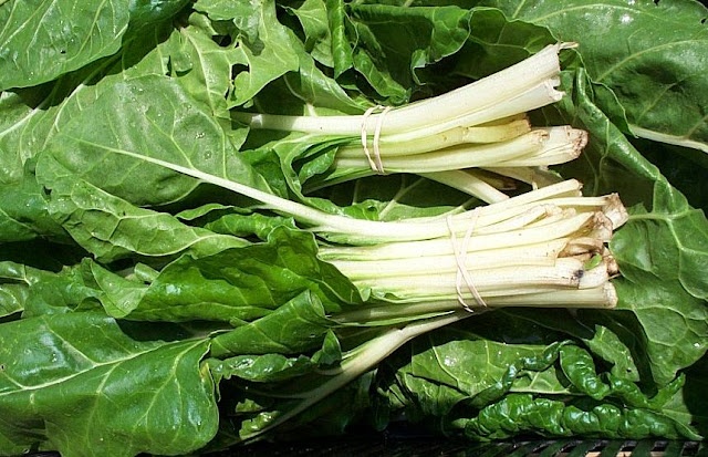 Swiss chard
