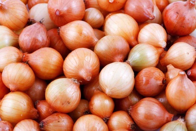 Small Onion 50Lb