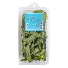 Mint Leaves 2.5 Oz