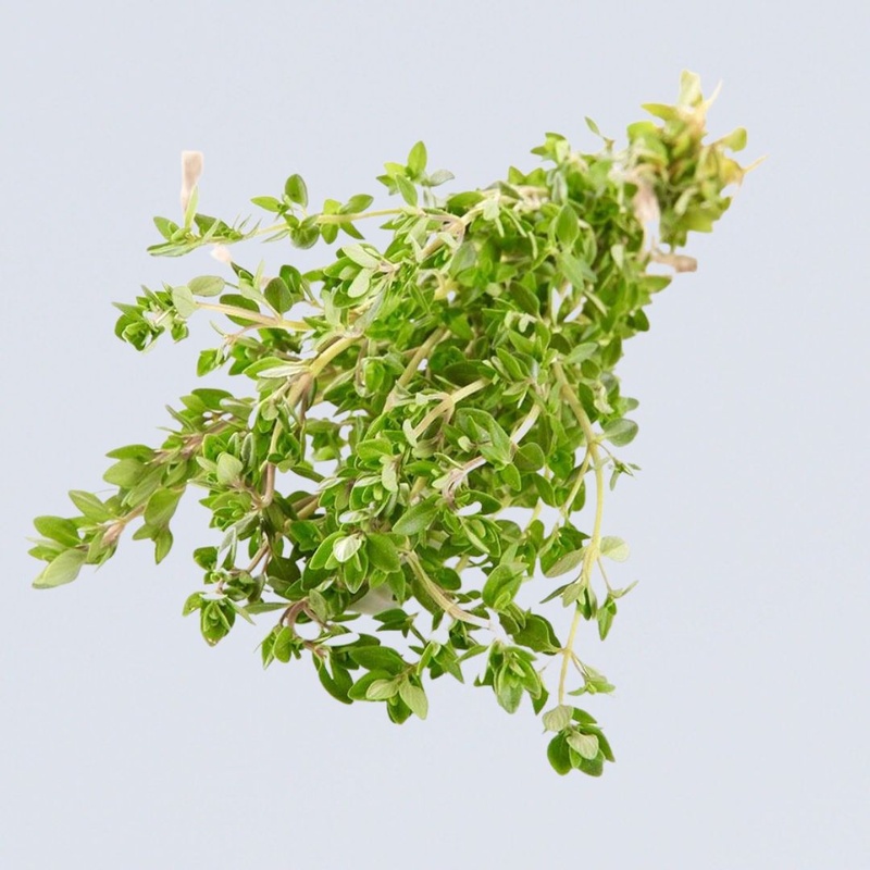 Thyme Bunch