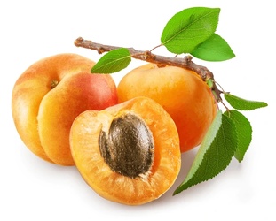 Sweet Apricot