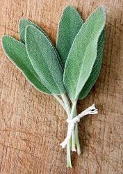 Sage Leaves 100G Bag