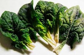 Curly Spinach