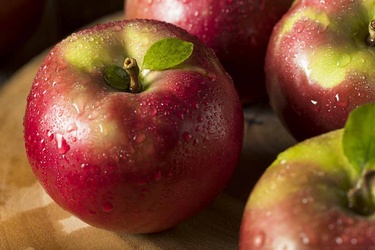 Apples Mcintosh