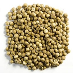 Coriander Seeds 4 Oz