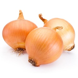 Onion Bag 2Lb